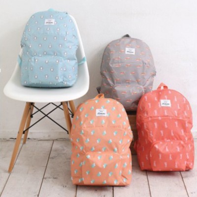 Foldable Backpack