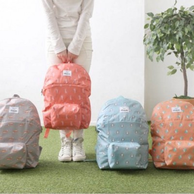 Foldable Backpack Style Degree sg singapore