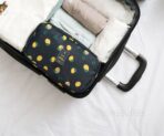 travel undergarment underwear panties cosmetic toiletries pouch organizer organiser style degree sg singapore