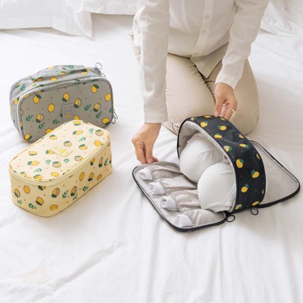 travel undergarment underwear panties cosmetic toiletries pouch organizer organiser style degree sg singapore