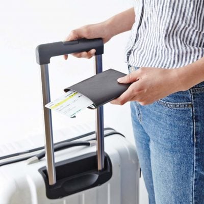 Envelope Passport Holder (L)