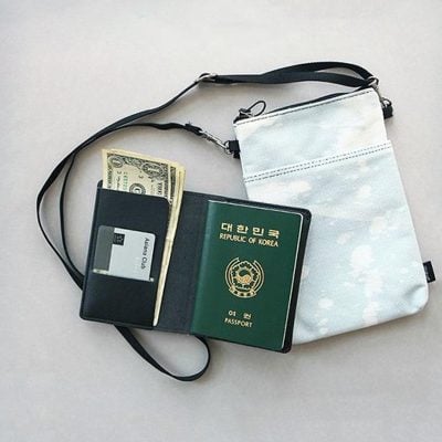 envelope mini passport holder organizer organiser wallet pouch style degree sg singapore