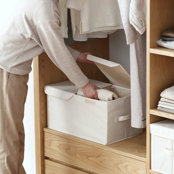Dual Compartment Storage Box, home storage solutions, closet organisation, organization, wardrobe organiser, foldable, stackable, storage box, style degree, singapore, sg