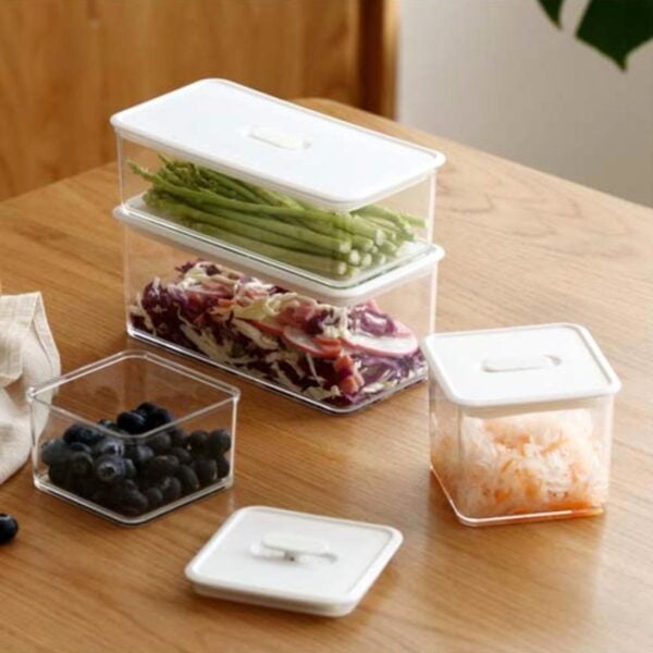 Freshly Food Containers, airtight containers, different sized containers, fridge organisation, fridge containers, style degree, singapore, sg