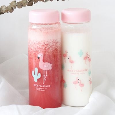 flamingo glass bottle tumbler tea fruits thermal flask flasks vacuum style degree sg singapore