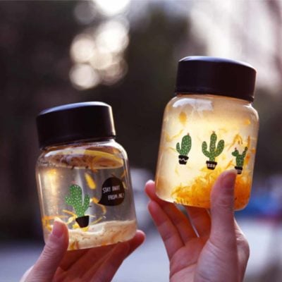 Cactus Mini Glass Bottle Tumbler Mug Flask Style Degree Sg Singapore