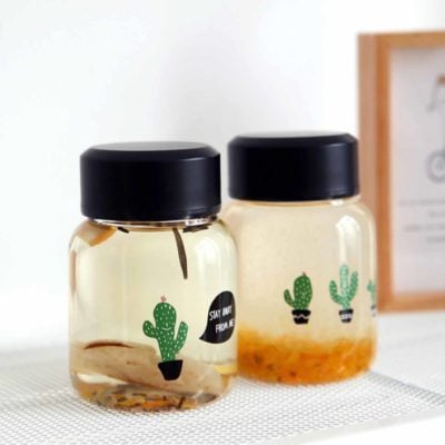 Cactus Mini Glass Bottle Tumbler Mug Flask Style Degree Sg Singapore