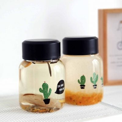 Cactus Mini Glass Bottle Tumbler Mug Flask Style Degree Sg Singapore