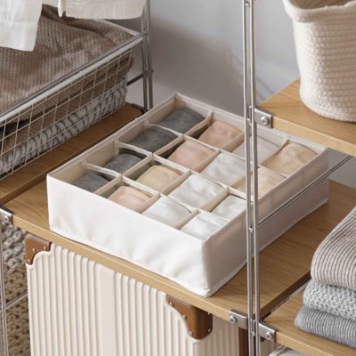 Essentials Undergarment Closet Organizer Lingerie Wardrobe Cupboard Drawer Organiser Style Degree Sg Singapore