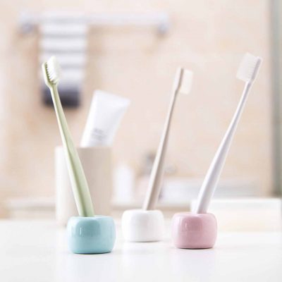 Minimalist Toothbrush Holder Teeth Toothpaste Toiletry Toiletries Bathroom Style Degree Sg Singapore