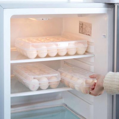 Clear Egg Box Fridge Food Container Holder Organizer Organiser Refrigerator Style Degree Sg Singapore