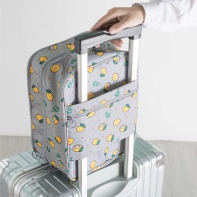 Citrus Travel Shoe Bag Sports Organizer Organiser Slippers Style Degree Sg Singapore
