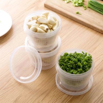 Garnish Mini Food Container (With Drainer) Containers Refrigerator Organizer Organiser Holder Storage Box Style Degree Sg Singapore
