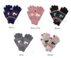 Sonata Winter Gloves (Touch Screen Sensitive) Winter Travel Accessories Touchscreen Gloves Style Degree Sg Singapore