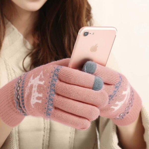 Sonata Winter Gloves (Touch Screen Sensitive) Winter Travel Accessories Touchscreen Gloves Style Degree Sg Singapore