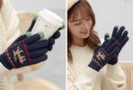 Sonata Winter Gloves (Touch Screen Sensitive) Winter Travel Accessories Touchscreen Gloves Style Degree Sg Singapore