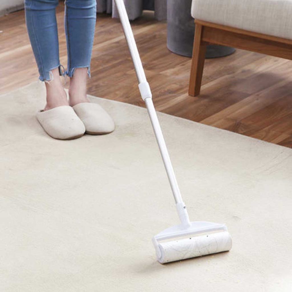 Extendable Sticky Mop & Lint Roller