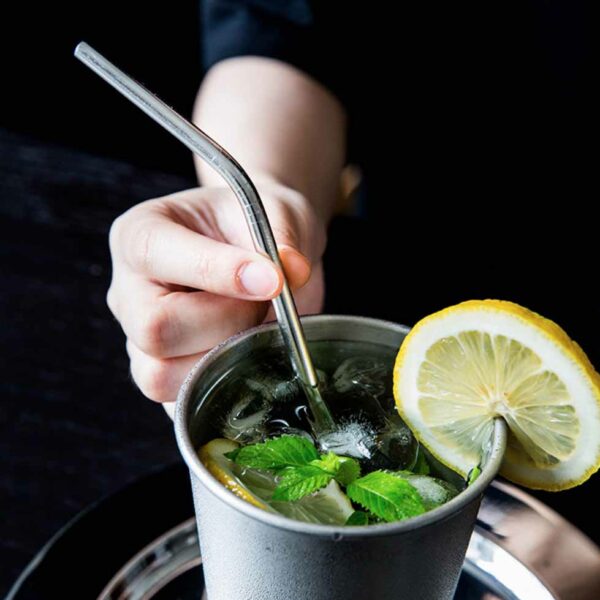 Eco Stainless Steel Drinking Straw (With Brush) Reusable Straw Metal Style Degree Sg Singapore