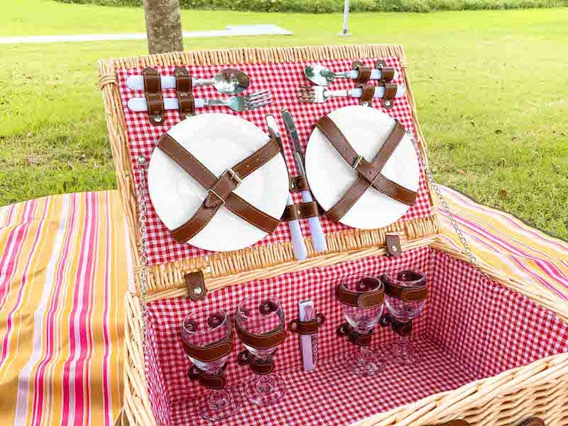 best picnic spots for family and couples singapore, picnic basket set, SG, StyleDegree, StyleMag