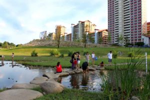 Bishan Ang Mo Kio Park, Best Picnic Spots, Picnic spots for families and couples, Outdoors, Style Degree, SG, Singapore, StyleMag