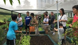 Community gardening, Eco-friendly, Sustainable living, Ways to live sustainably for homeowners, Style Degree, SG, Singapore, StyleMag