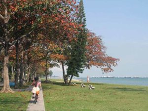 East Coast Park, Best Picnic Spots, Picnic spots for families and couples, Outdoors, Style Degree, SG, Singapore, StyleMag