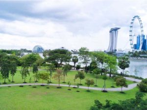 Gardens by the Bay East, Best Picnic Spots, Picnic spots for families and couples, Outdoors, Style Degree, SG, Singapore, StyleMag