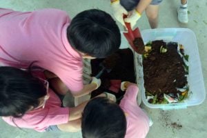 Kids building compost bin, Compost bin materials, Zero waste, Sustainable living, Ways to live sustainably for homeowners, Style Degree, SG, Singapore, StyleMag