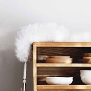 Pristine Extendable & Bendable Duster Cleaning Accessories Style Degree Sg Singapore