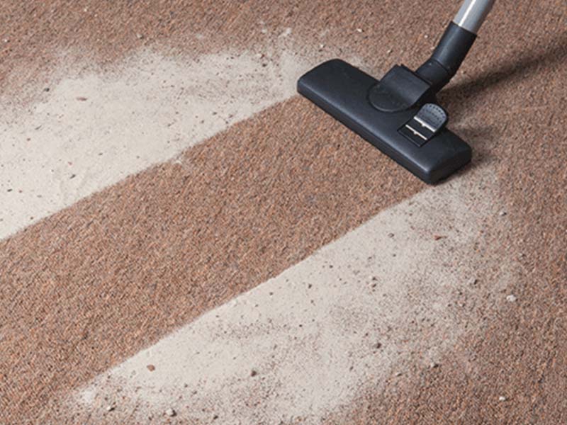 How To Get Rid Of 9 Common Odours In Singapore Homes Style Degree