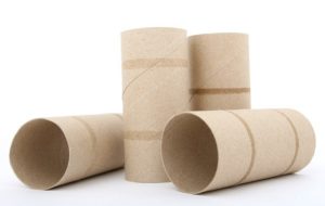 Upcycling Empty Toilet Paper Rolls, Style Degree, Singapore, SG, StyleMag