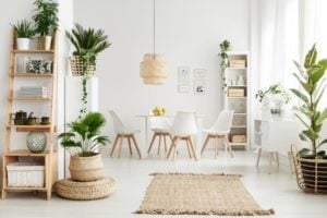 Best Indoor Plants in Singapore, Plants that purify that air in Singapore, Growing An Edible Garden in Singapore, Style Degree, Singapore, SG, StyleMag