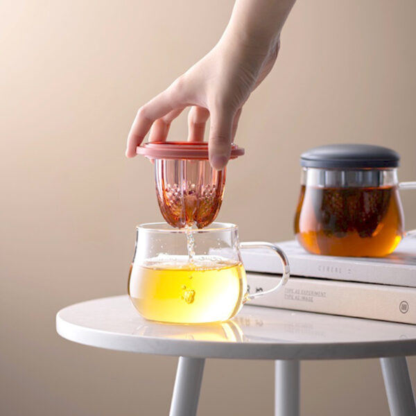 2-in-1 Tea Infuser Fruit Juicer Glass Mug Tea Pot High Borosilicate Glass Cup Style Degree Sg Singapore