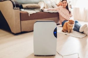 Invest in an air purifier, how to get rid of toxic fumes from house, how to remove fine dust, how to remove renovation smell, Style Degree, Singapore, SG, StyleMag.