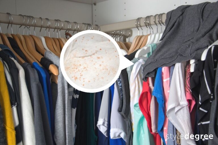 Mold In Clothes? Here’s How To Keep Your Wardrobe Mold & Moisturefree