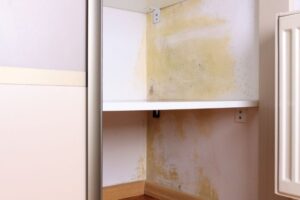 Mold in wardrobe, How to remove mold in makeup, Style Degree, Style Mag, Singapore, SG