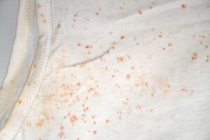 How to Safely Remove Mold From Clothing