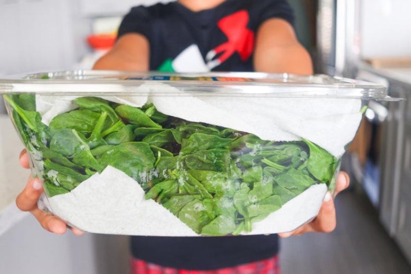 A Guide To Storing Produce To Keep Them Fresh Longer & Tastier Style