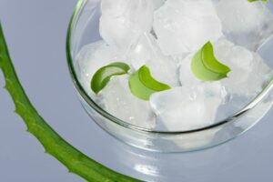 How to freeze aloe vera, How to treat sunburns with frozen aloe vera, StyleDegree, StyleMag, Singapore, SG