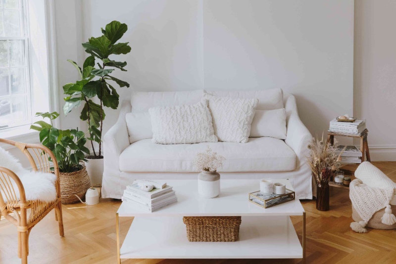 Where To Put Plants In Your House (+ Feng Shui Tips!) - Style Degree