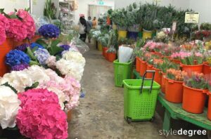 Jimei flower market, Places to get fresh flowers in singapore, Singapore, SG, StyleDegree, StyleMag