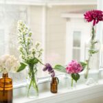 Flowers on windowsill ideas, Where to place small plants, Singapore, SG, StyleDegree, StyleMag