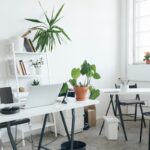 Plants on desk ideas, Singapore, SG, StyleDegree, StyleMag