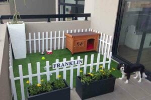 Balcony Indoor Park for pets, Balcony pet play area ideas, Balcony pet area ideas, Style Degree, Singapore, SG, StyleMag.