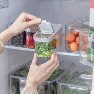 Garnish Rectangle Food Container (With Drainer)