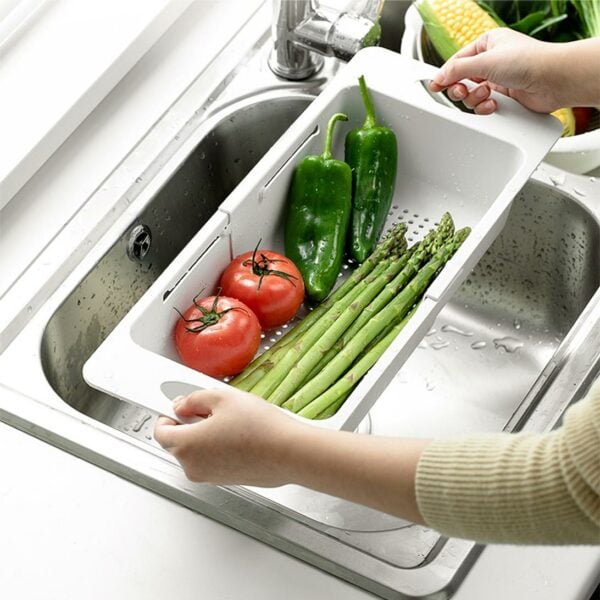 Extendable Over-the-sink Drying Rack (With Bin) Over the sink Drainer Rack Fruits Veggies Colander Drainer for Fruits and Veggies Washing Container Style Degree Sg Singapore