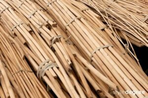 Harvested rattan, Raw rattan, Farming rattan bundles, Style Degree, Singapore, SG, StyleMag. 