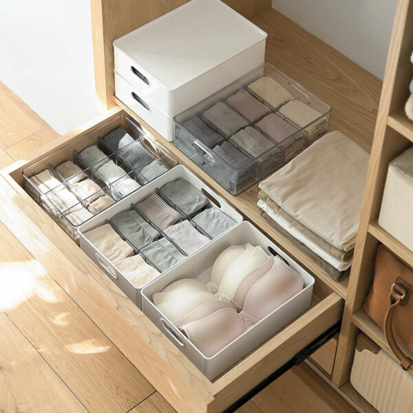 Pristine Undergarment Organizer Box Lingerie Garment Compartment Partitions Grid Wardrobe Closet Clothing Storage Style Degree Sg Singapore