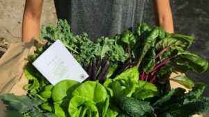 9 uncommon ways you can go green beyond the 3rs, Surprising ways you can go green, Style Degree, Singapore, SG, StyleMag.
