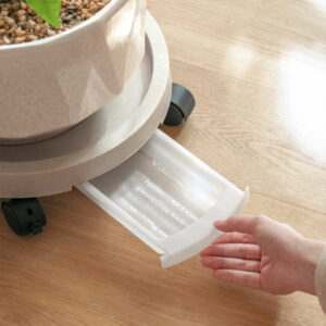 Rollable Plant Pot Platform (With Drainer) Movable Plant Pot Stand Movable Plant Rack Plant Stand With Wheels Style Degree Sg Singapore